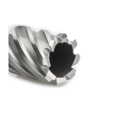 Izar weldon kruna 20x30mm HSS-XT