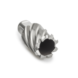 Izar weldon kruna 22x30mm HSS-XT