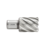 Izar weldon kruna 20x30mm HSS-XT
